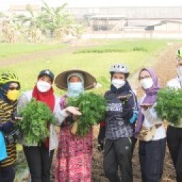 Gowes & Petik Sayur - 4 September 2021.jpg